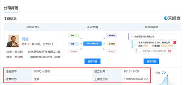 成都易駕注銷背后 樂(lè)視汽車生態(tài)調(diào)整與行業(yè)變局